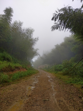 山中云雾风景