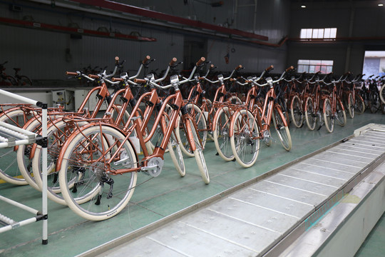 自行车电动车助力车生产线工厂