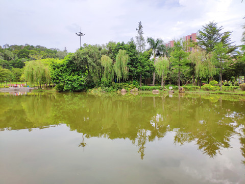 水景区