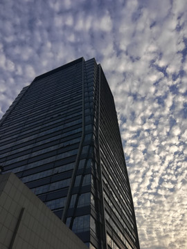 蓝天下的城市