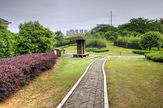 金华城北景观公园石板路