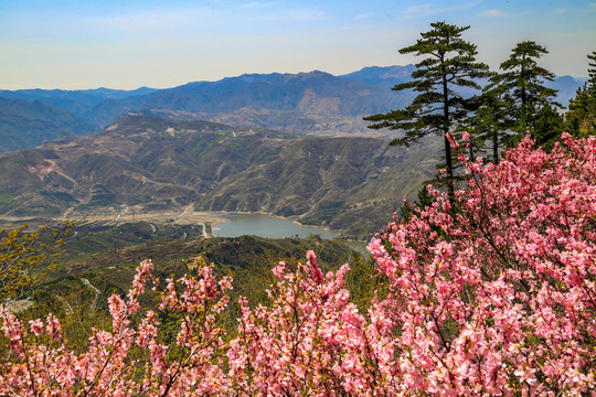 北岳恒山春色