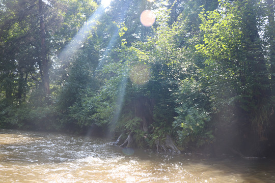 河道岸边漂流风景