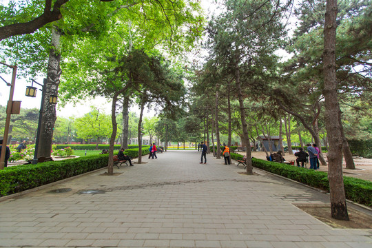 北京日坛公园游览步道