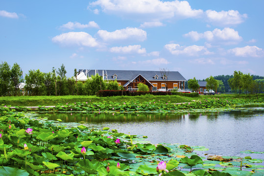 田园风景