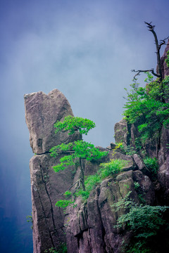 黄山奇石