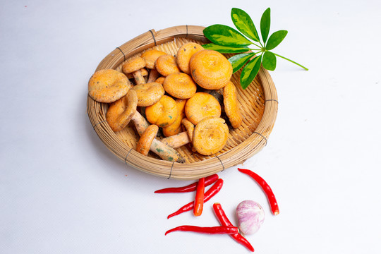 野生菌之铜绿菌
