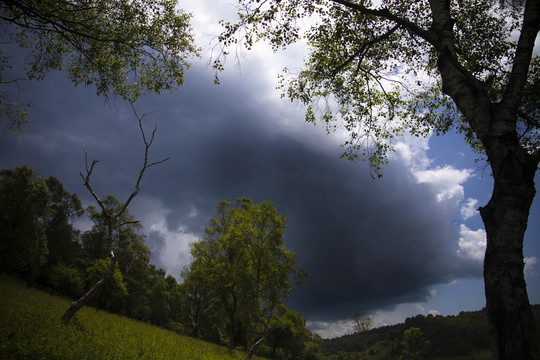 山雨欲来