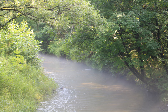 雾气氤氲的河水