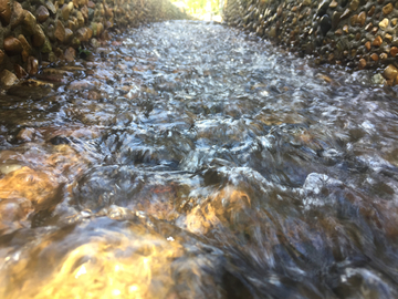 流淌的溪水