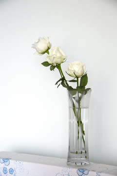 瓶插白玫瑰
