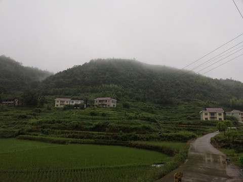 青山绿水