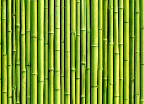 竹子素材背景图