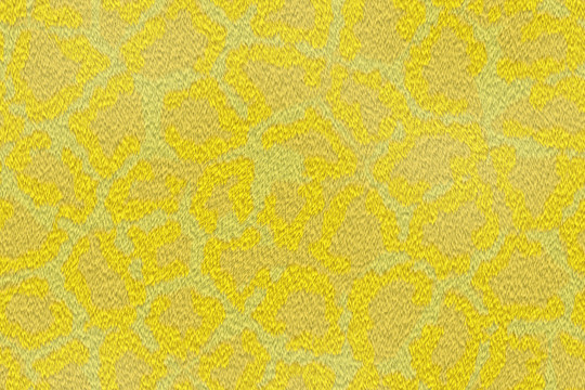 黄色豹纹