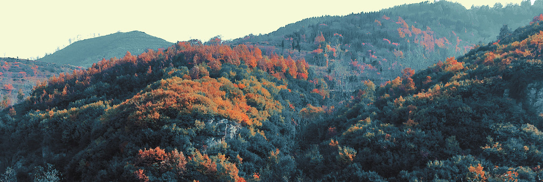 山景