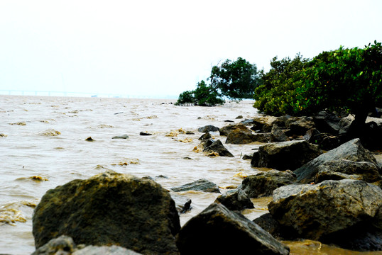 海水石头