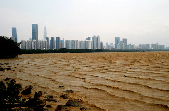 深圳湾风景