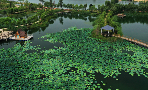 枣庄月亮湾湿地美景