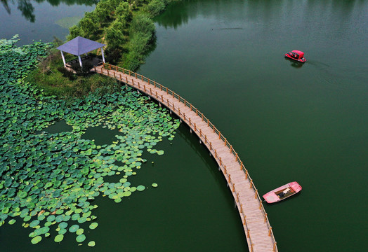 枣庄月亮湾湿地美景