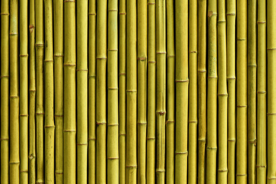 竹子素材背景