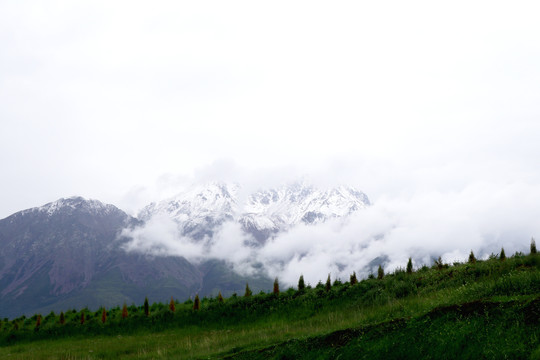 卓尔山