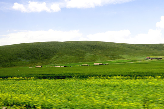 户外风景