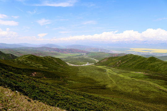 山云菜花风景