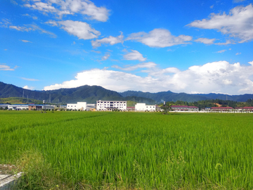 乡村风景