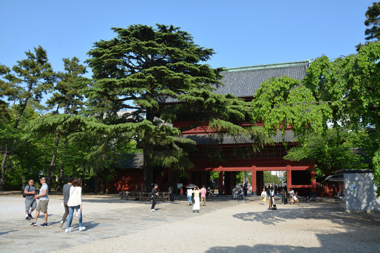 日本增上寺