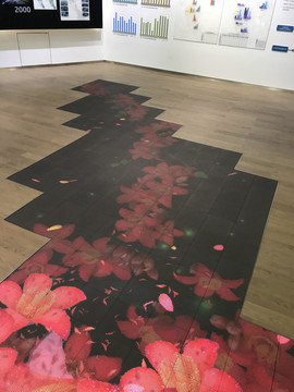 变色花