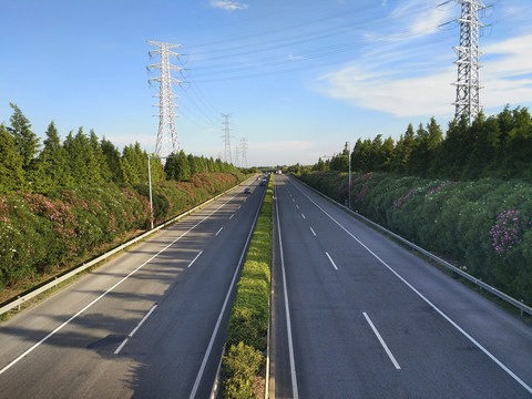 高速一路花海