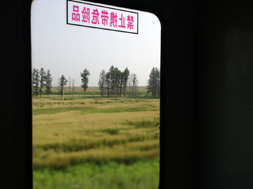 列车窗外风景