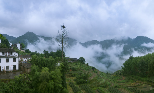 山村