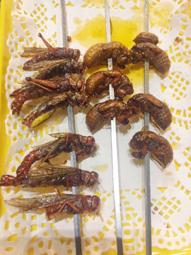 烤蝗虫