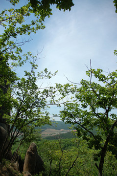 三道关国家森林公园风景