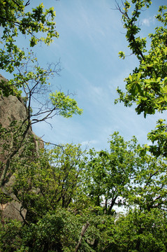 三道关国家森林公园风景