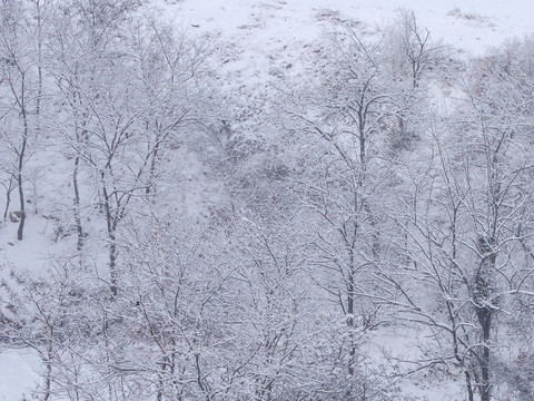 水墨风景