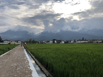 田园风光