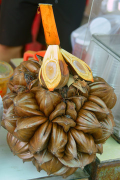 热带水椰的水果果实