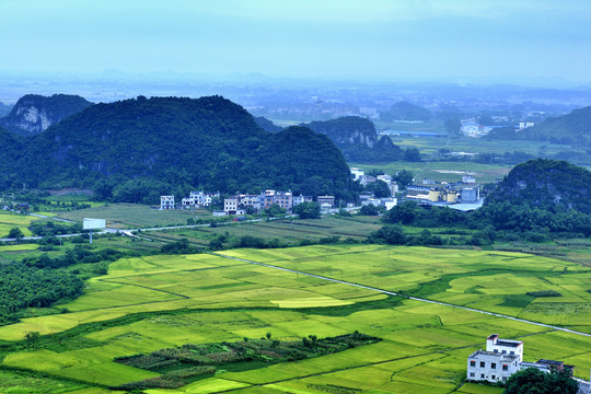 盛夏的壮乡