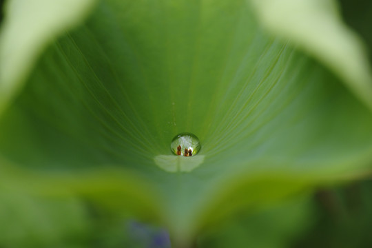 水滴
