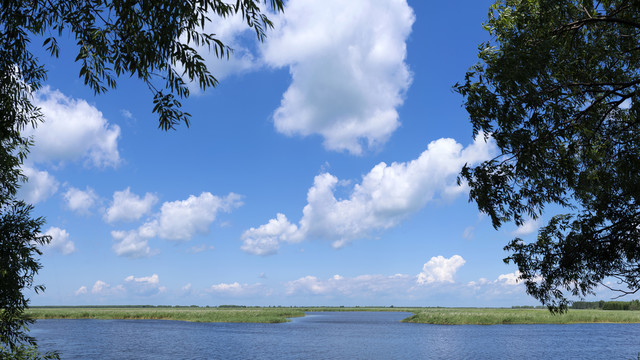 湿地
