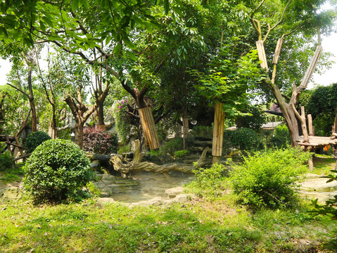 成都熊猫基地