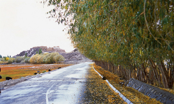 新疆维吾尔自治区帕米尔高原