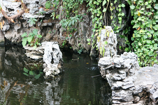 假山石池塘