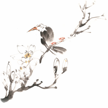 玉兰花与小鸟