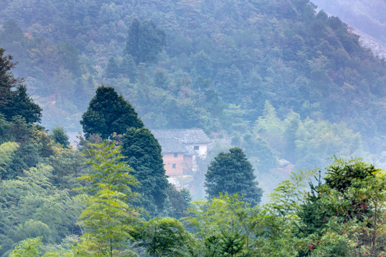 山里人家