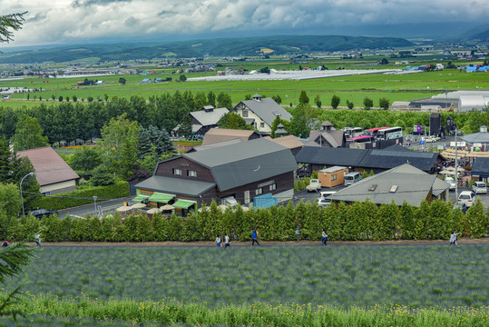 北海道乡村风光