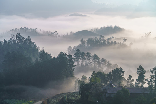 骑龙坳云海日出水墨山水