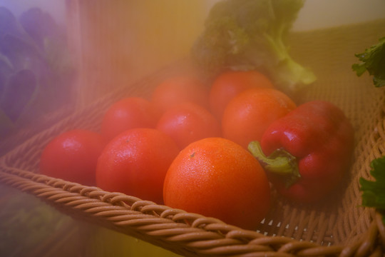 冷风柜里的番茄